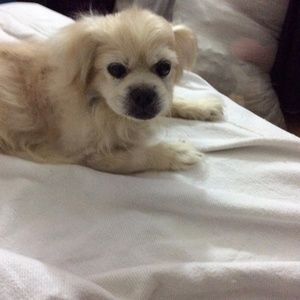 Meet your Posher, Shawnequa